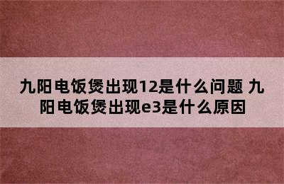 九阳电饭煲出现12是什么问题 九阳电饭煲出现e3是什么原因